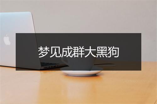 梦见成群大黑狗