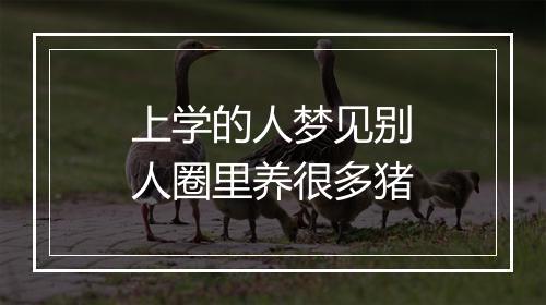 上学的人梦见别人圈里养很多猪