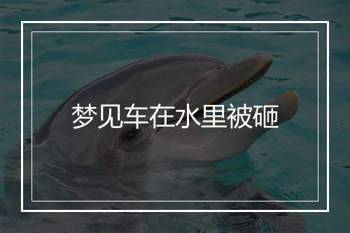 梦见车在水里被砸