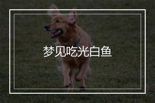 梦见吃光白鱼