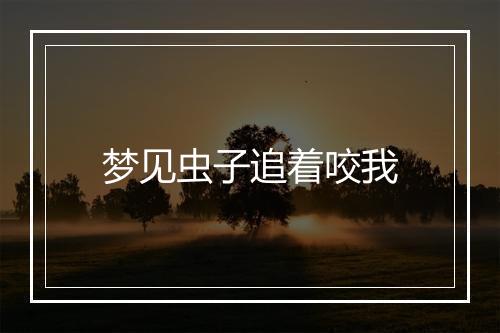 梦见虫子追着咬我