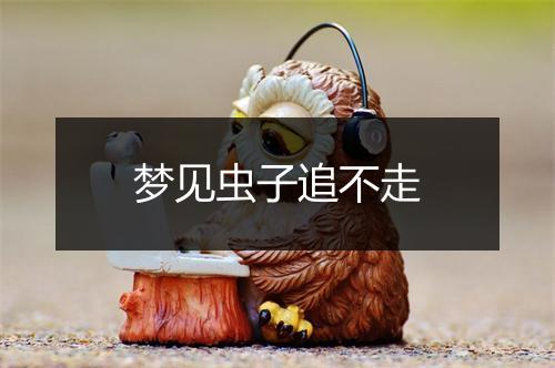 梦见虫子追不走