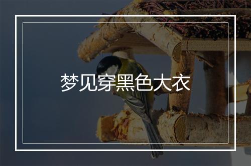 梦见穿黑色大衣