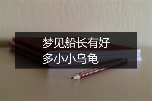 梦见船长有好多小小乌龟