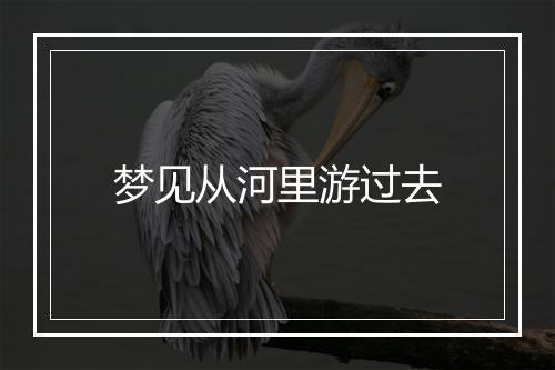 梦见从河里游过去