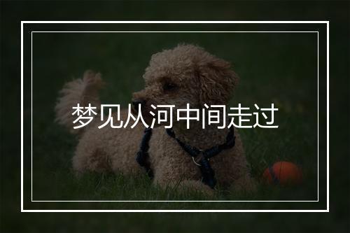 梦见从河中间走过