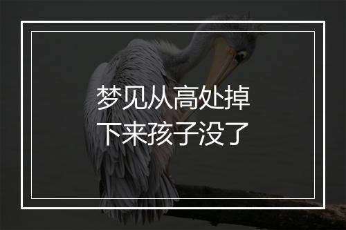 梦见从高处掉下来孩子没了