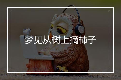 梦见从树上摘柿子