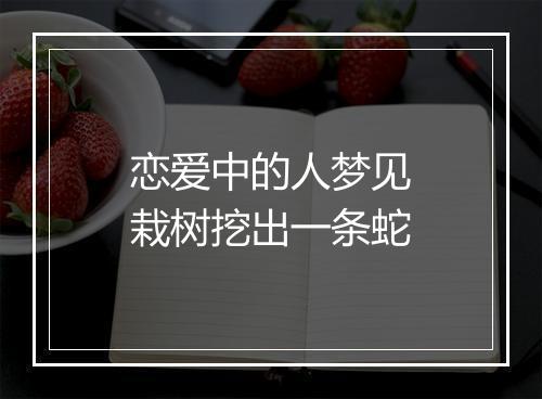 恋爱中的人梦见栽树挖出一条蛇