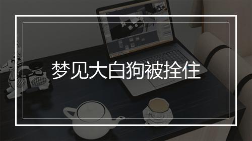 梦见大白狗被拴住