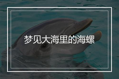 梦见大海里的海螺