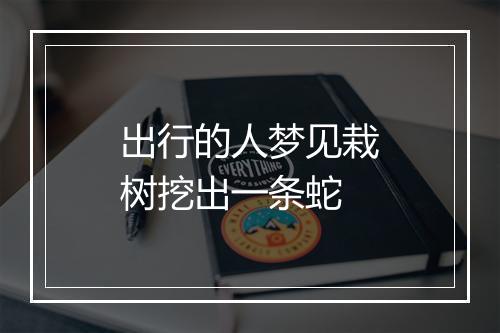 出行的人梦见栽树挖出一条蛇