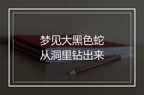 梦见大黑色蛇从洞里钻出来