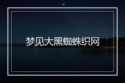 梦见大黑蜘蛛织网