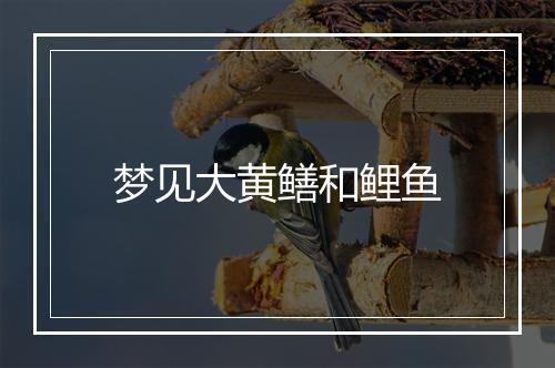 梦见大黄鳝和鲤鱼