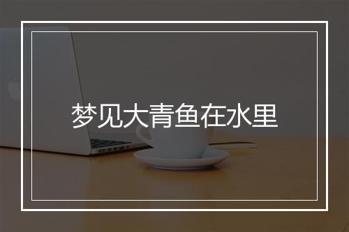 梦见大青鱼在水里