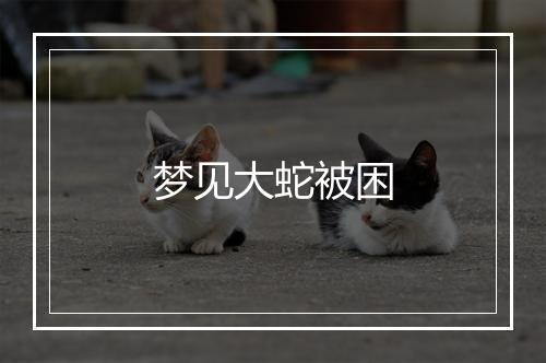 梦见大蛇被困