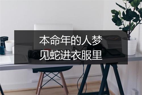 本命年的人梦见蛇进衣服里