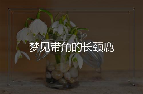 梦见带角的长颈鹿