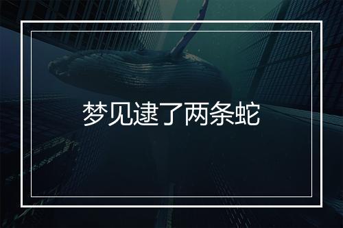 梦见逮了两条蛇