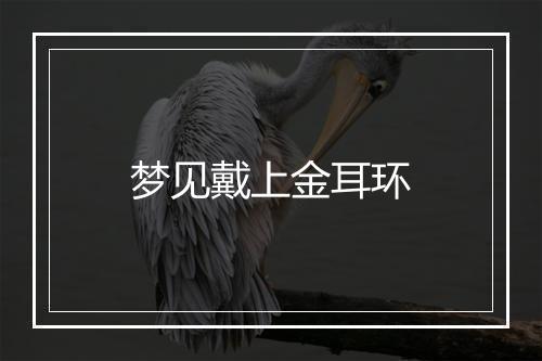 梦见戴上金耳环