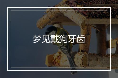 梦见戴狗牙齿