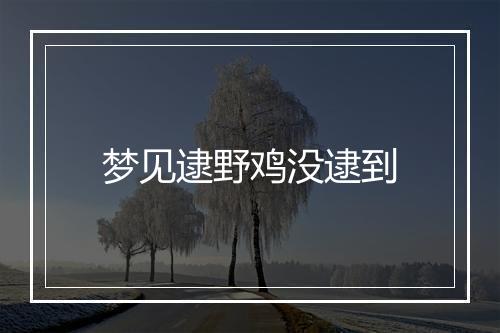 梦见逮野鸡没逮到