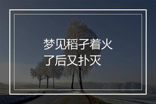 梦见稻孑着火了后又扑灭