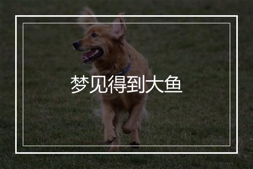 梦见得到大鱼