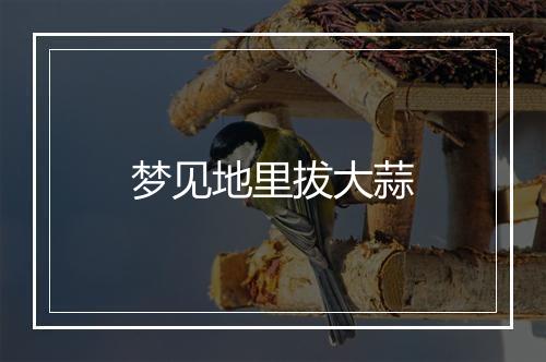 梦见地里拔大蒜