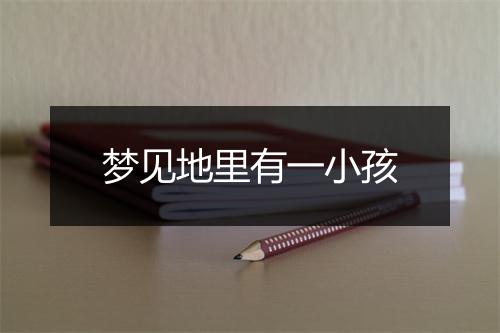 梦见地里有一小孩