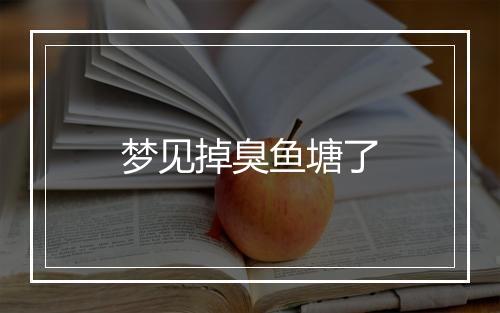 梦见掉臭鱼塘了