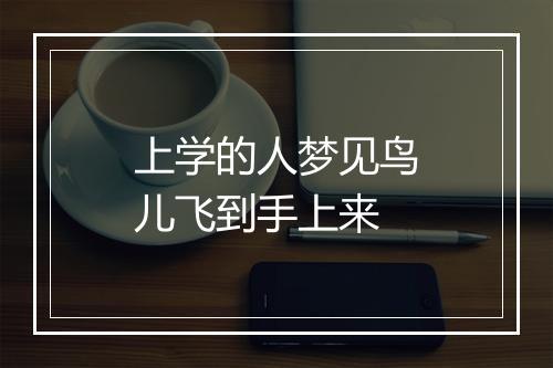 上学的人梦见鸟儿飞到手上来