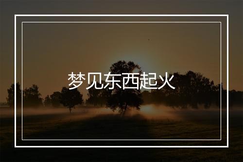 梦见东西起火