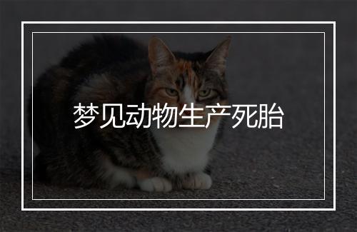 梦见动物生产死胎