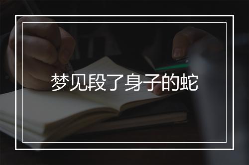 梦见段了身子的蛇