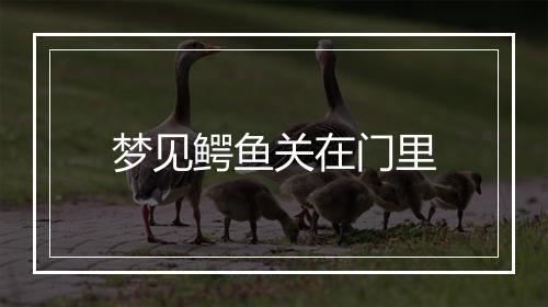 梦见鳄鱼关在门里