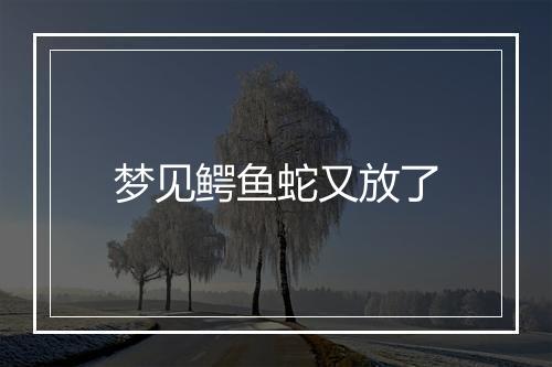 梦见鳄鱼蛇又放了