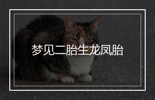 梦见二胎生龙凤胎