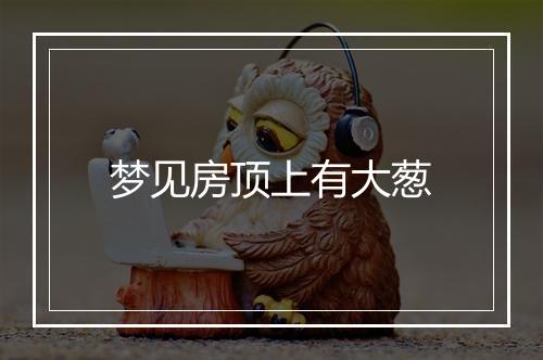 梦见房顶上有大葱