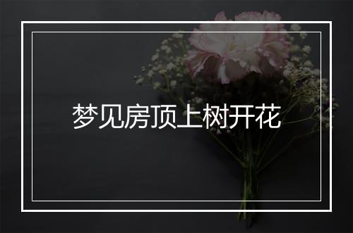 梦见房顶上树开花