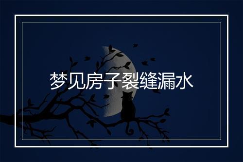 梦见房子裂缝漏水