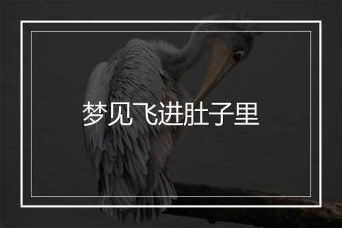 梦见飞进肚子里