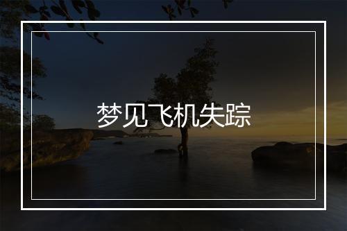 梦见飞机失踪