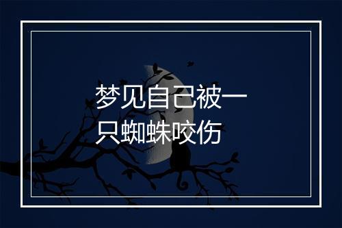 梦见自己被一只蜘蛛咬伤