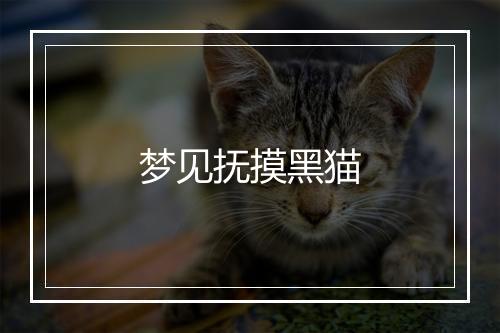 梦见抚摸黑猫