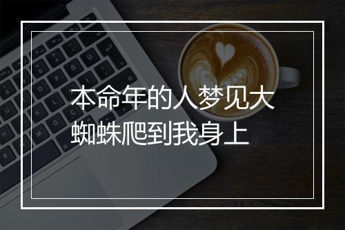 本命年的人梦见大蜘蛛爬到我身上