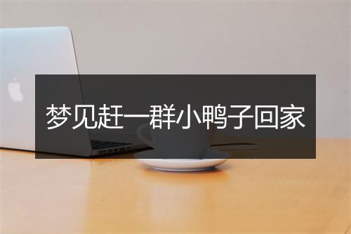 梦见赶一群小鸭子回家