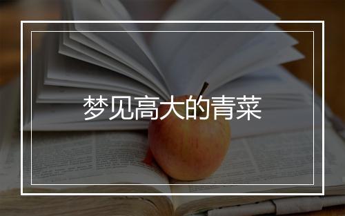 梦见高大的青菜