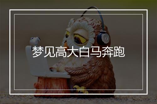 梦见高大白马奔跑